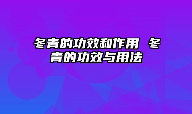 冬青的功效和作用 冬青的功效与用法