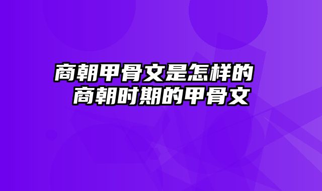 商朝甲骨文是怎样的 商朝时期的甲骨文