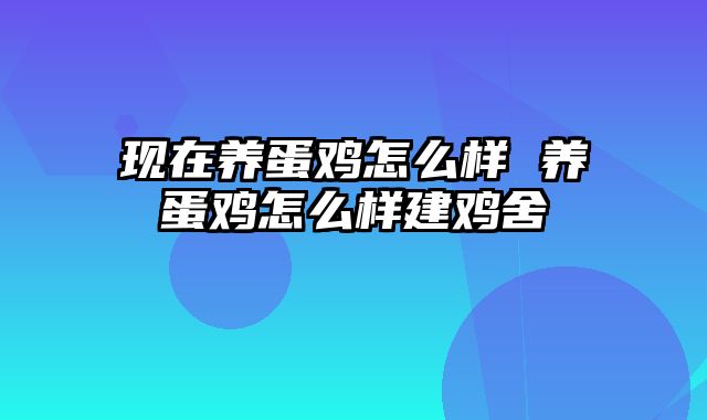 现在养蛋鸡怎么样 养蛋鸡怎么样建鸡舍