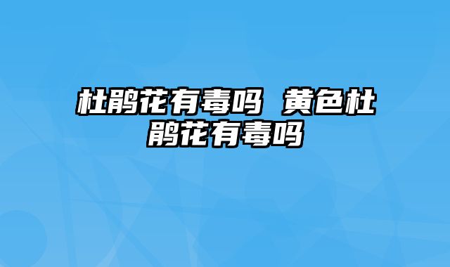 杜鹃花有毒吗 黄色杜鹃花有毒吗