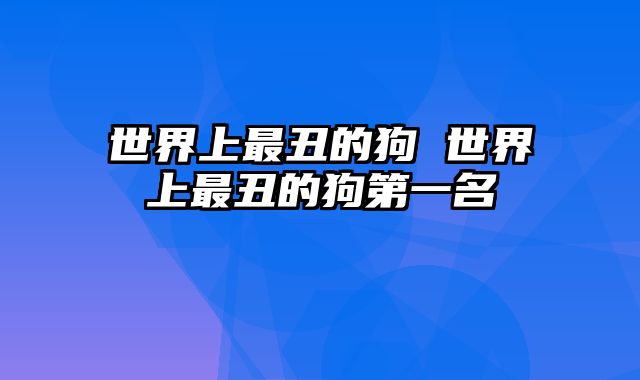 世界上最丑的狗 世界上最丑的狗第一名
