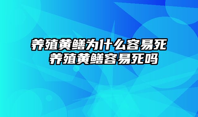 养殖黄鳝为什么容易死 养殖黄鳝容易死吗
