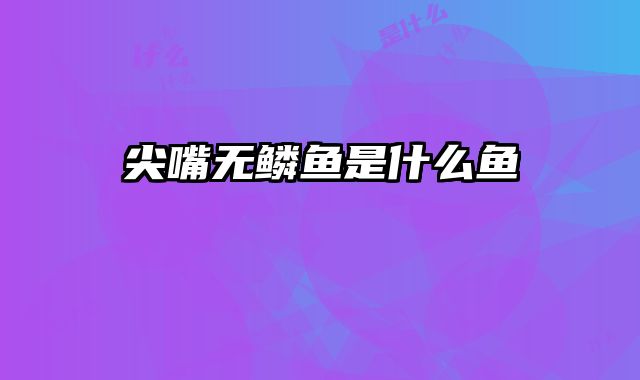 尖嘴无鳞鱼是什么鱼