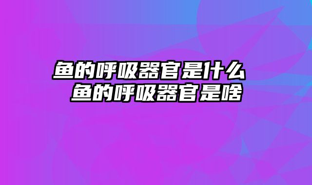 鱼的呼吸器官是什么 鱼的呼吸器官是啥