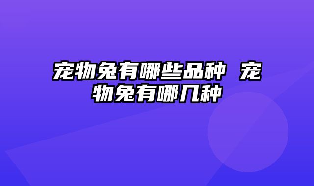 宠物兔有哪些品种 宠物兔有哪几种
