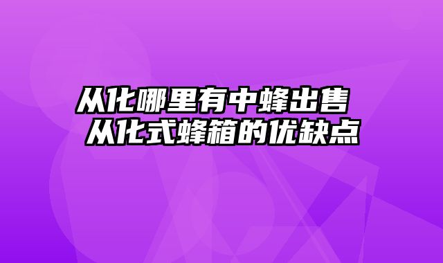 从化哪里有中蜂出售 从化式蜂箱的优缺点