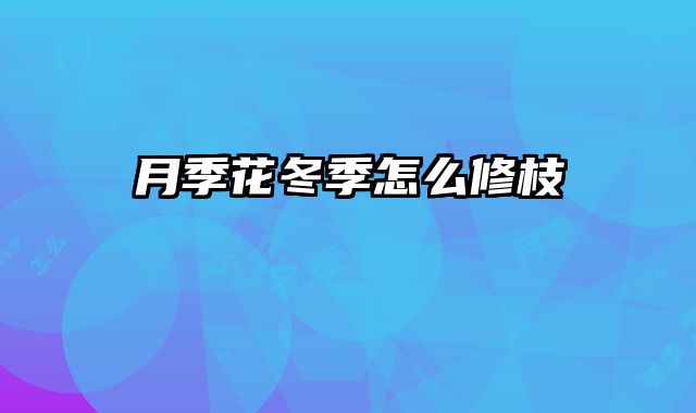 月季花冬季怎么修枝