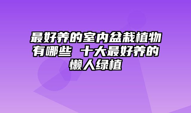最好养的室内盆栽植物有哪些 十大最好养的懒人绿植