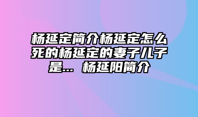杨延定简介杨延定怎么死的杨延定的妻子儿子是... 杨延阳简介