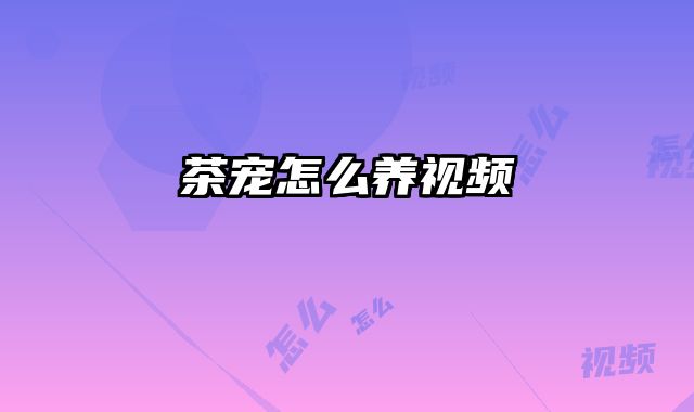 茶宠怎么养视频