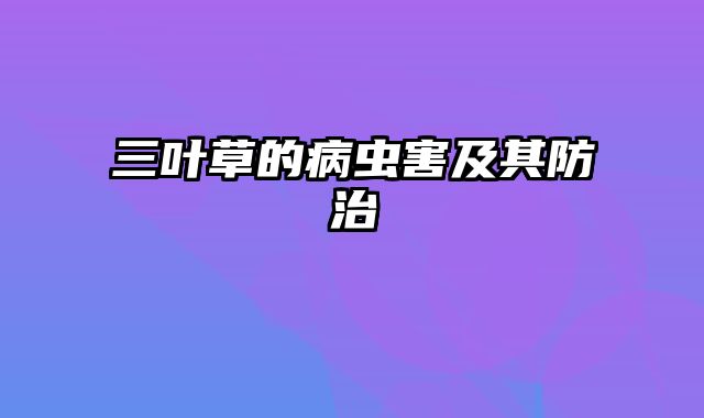 三叶草的病虫害及其防治
