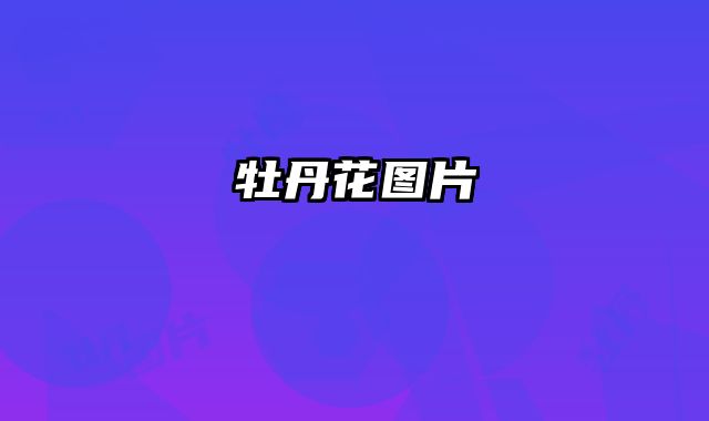 牡丹花图片