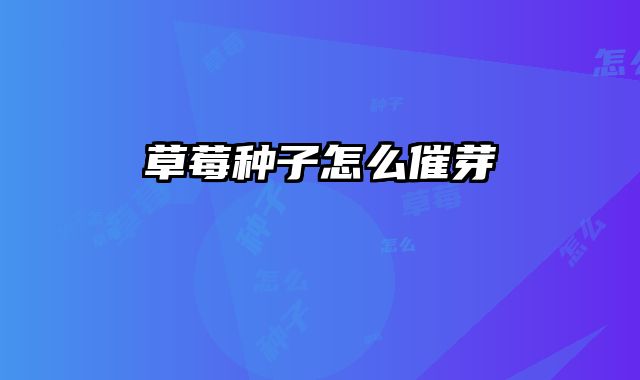 草莓种子怎么催芽