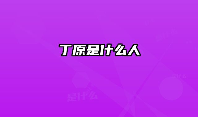 丁原是什么人
