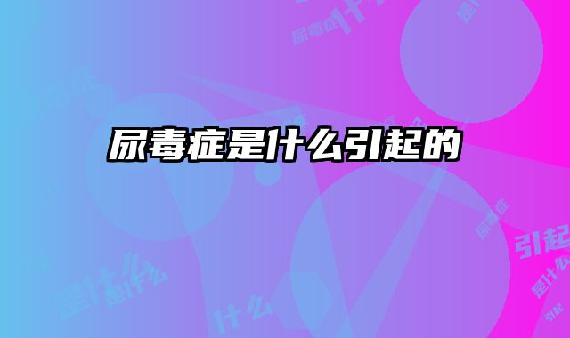 尿毒症是什么引起的