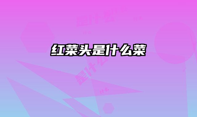 红菜头是什么菜