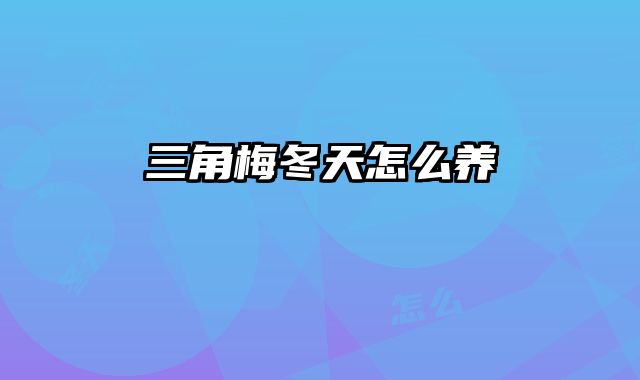 三角梅冬天怎么养