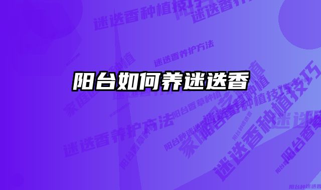 阳台如何养迷迭香