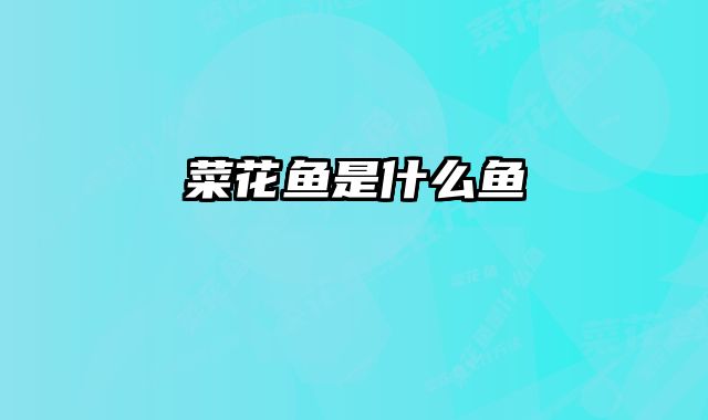 菜花鱼是什么鱼