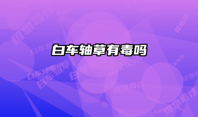 白车轴草有毒吗