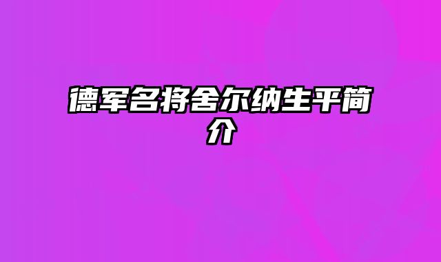 德军名将舍尔纳生平简介