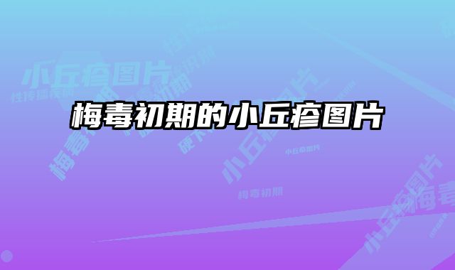 梅毒初期的小丘疹图片