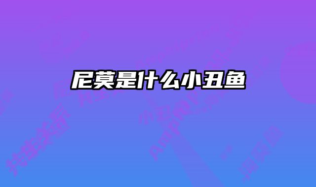 尼莫是什么小丑鱼