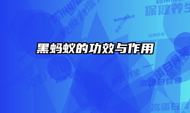 黑蚂蚁的功效与作用