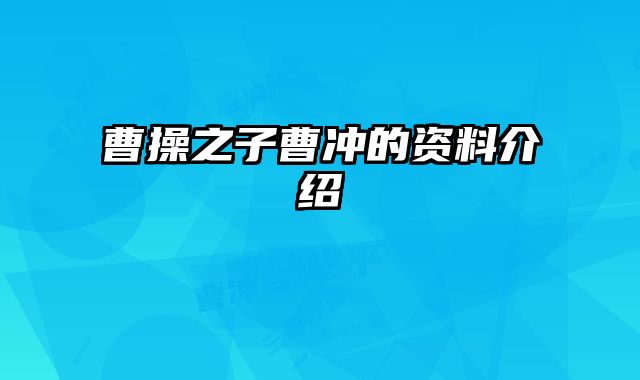曹操之子曹冲的资料介绍