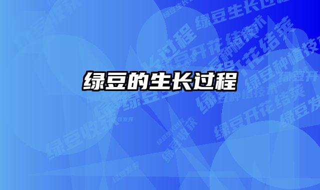绿豆的生长过程