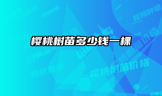 樱桃树苗多少钱一棵