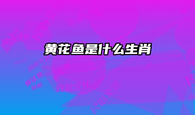 黄花鱼是什么生肖