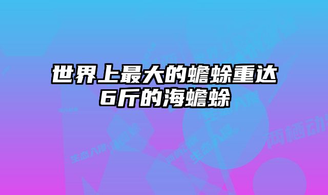 世界上最大的蟾蜍重达6斤的海蟾蜍