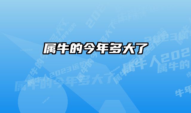 属牛的今年多大了