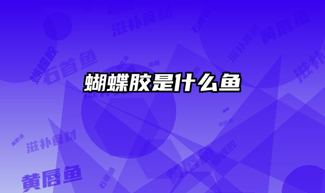 蝴蝶胶是什么鱼