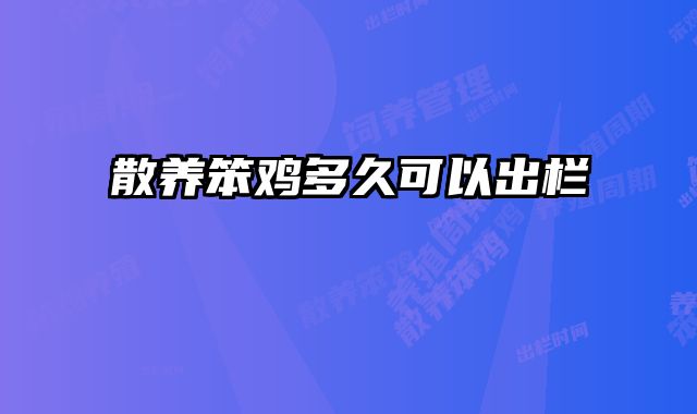 散养笨鸡多久可以出栏