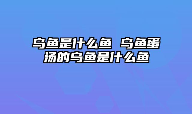 乌鱼是什么鱼 乌鱼蛋汤的乌鱼是什么鱼