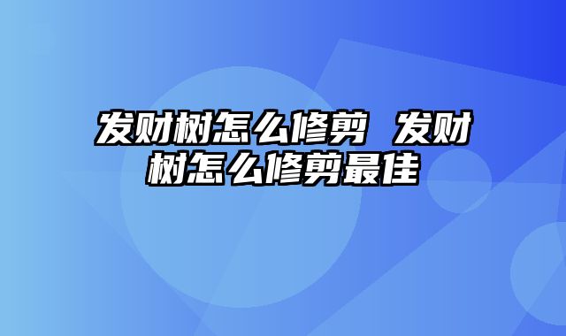 发财树怎么修剪 发财树怎么修剪最佳
