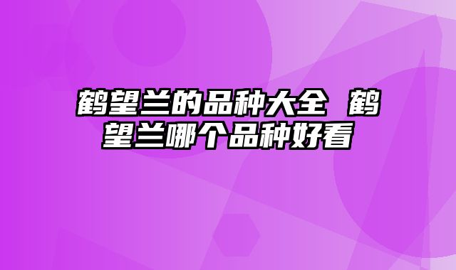 鹤望兰的品种大全 鹤望兰哪个品种好看