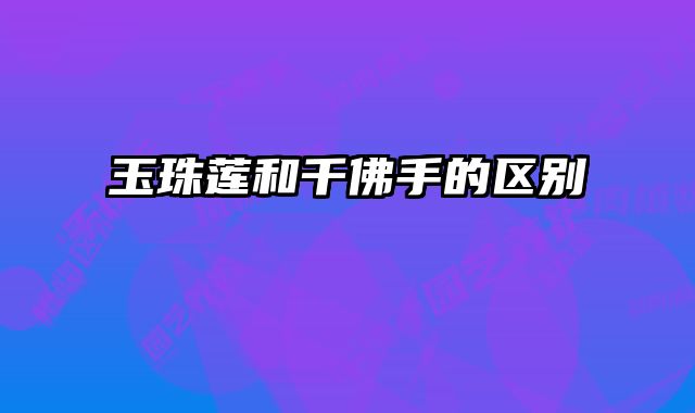 玉珠莲和千佛手的区别