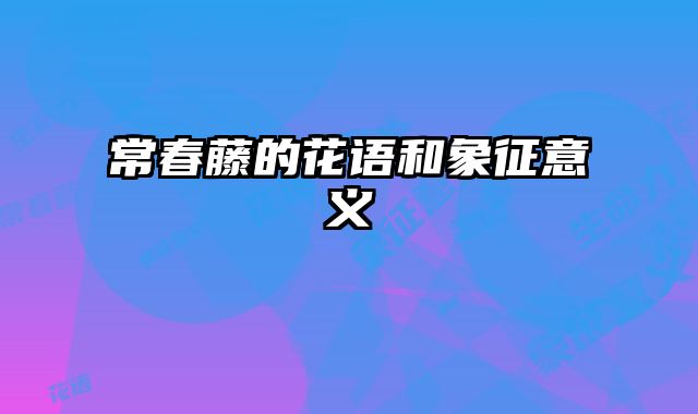 常春藤的花语和象征意义