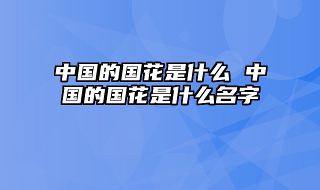 中国的国花是什么 中国的国花是什么名字
