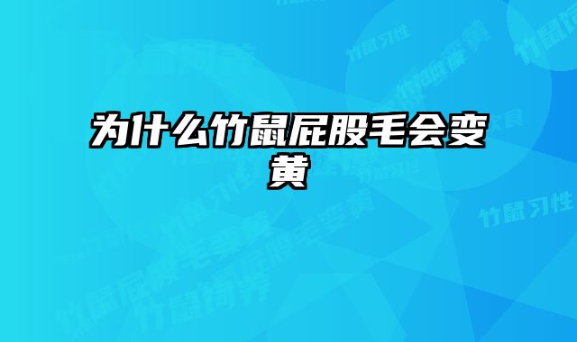 为什么竹鼠屁股毛会变黄