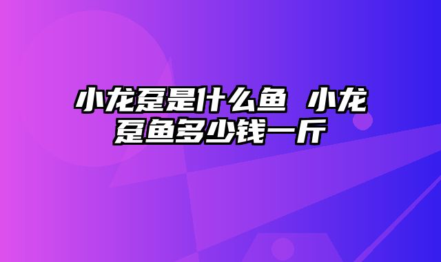 小龙趸是什么鱼 小龙趸鱼多少钱一斤