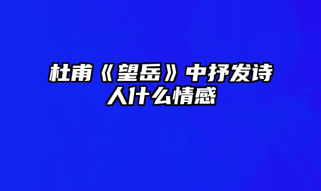 杜甫《望岳》中抒发诗人什么情感