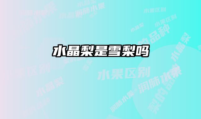 水晶梨是雪梨吗