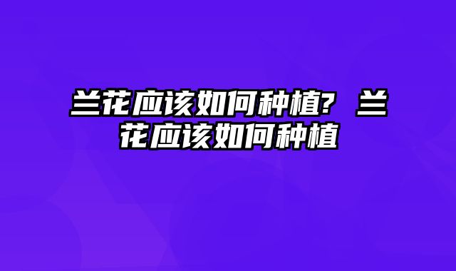 兰花应该如何种植? 兰花应该如何种植