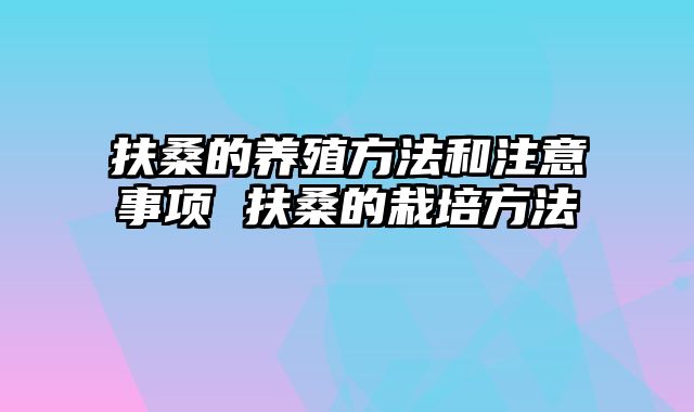 扶桑的养殖方法和注意事项 扶桑的栽培方法