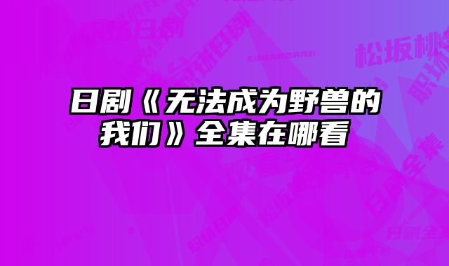 日剧《无法成为野兽的我们》全集在哪看