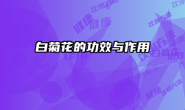 白菊花的功效与作用